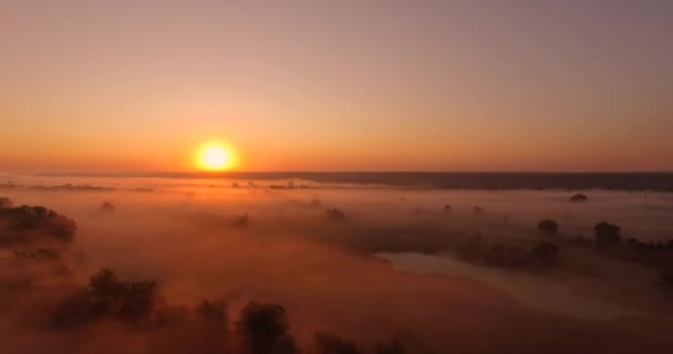 Aerial view of pink sunrise on misty valley — Stock Video