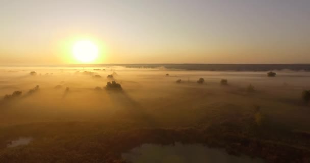 Aerial view of yellow sunrise on misty valley — Stock Video