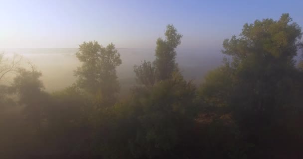 Widok z lotu ptaka różowy wschód słońca na mglistej dolinie — Wideo stockowe
