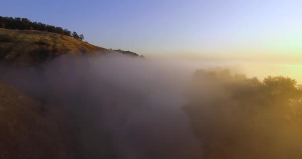 Luchtfoto van roze zonsopgang op mistige vallei — Stockvideo