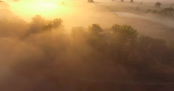 Pembe güneşin sisli vadideki hava manzarası — Stok video