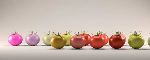 Illustration Gesundes Ernährungskonzept Tomate — Stockfoto