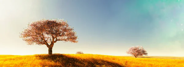 Çimenli Alan Badem Ağaçları — Stok fotoğraf