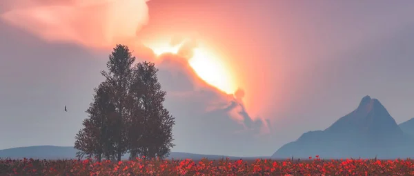 Çiçek Tarlasında Günbatımı Ağaç Illüstrasyon — Stok fotoğraf