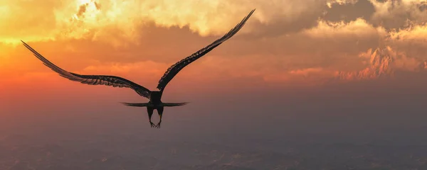 Трехмерная Иллюстрация Eagle Flying Clouds Dawn — стоковое фото