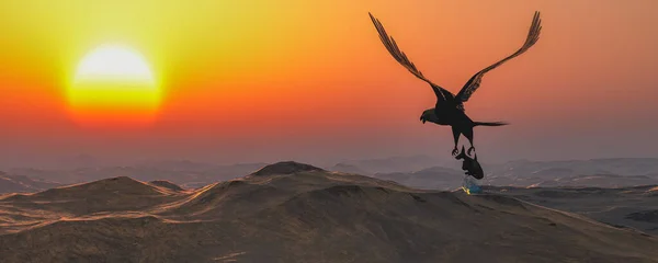 Εικόνα Αετός Που Φέρουν Στα Σύννεφα Την Αυγή — Φωτογραφία Αρχείου