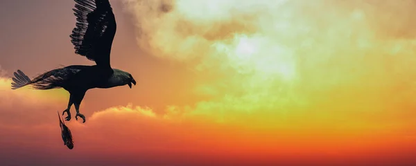 Illustration Eagle Flying Clouds Dawn — Stock Photo, Image