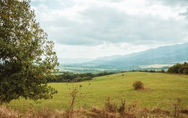 Gürcü dağlarda Caucasus güzel manzara