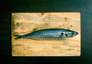 Masada Uskumru balığı