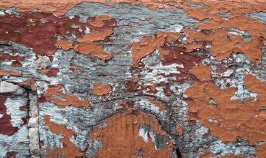 Ahşap doku soyut portre