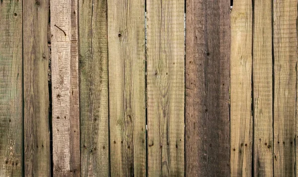 Resumen primer plano de la textura de madera — Foto de Stock