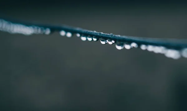 Gotas de agua abstractas en alambre de metal —  Fotos de Stock