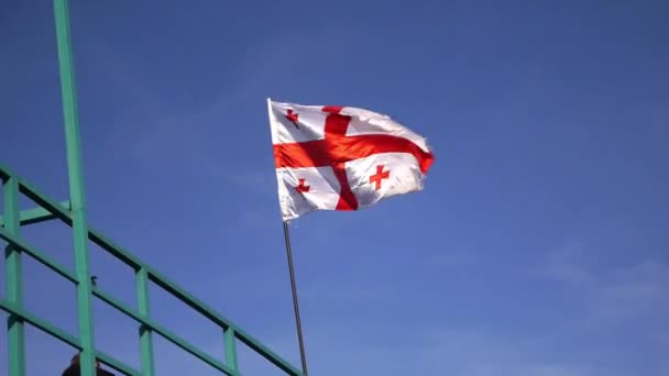 Махающий Флагом Джорджии — стоковое видео