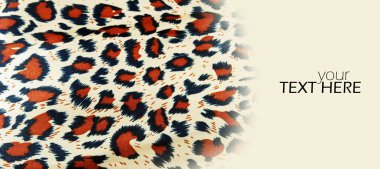Kopya alanı ile leopar arka plan