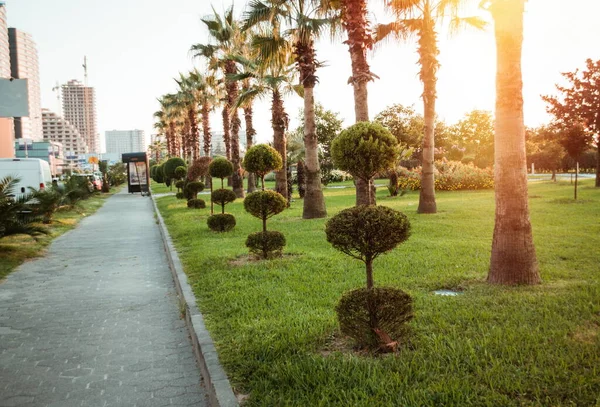 Modern Park Batumi City Batumi Georgia — Stock Photo, Image