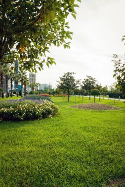 Batumi şehrindeki modern park. Batum. Georgia