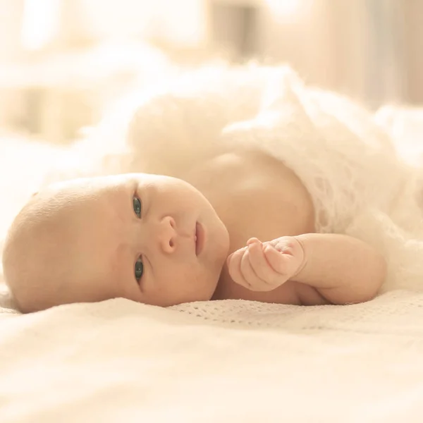 両親と同じベッドで生まれたばかりの赤ちゃんの肖像画. — ストック写真