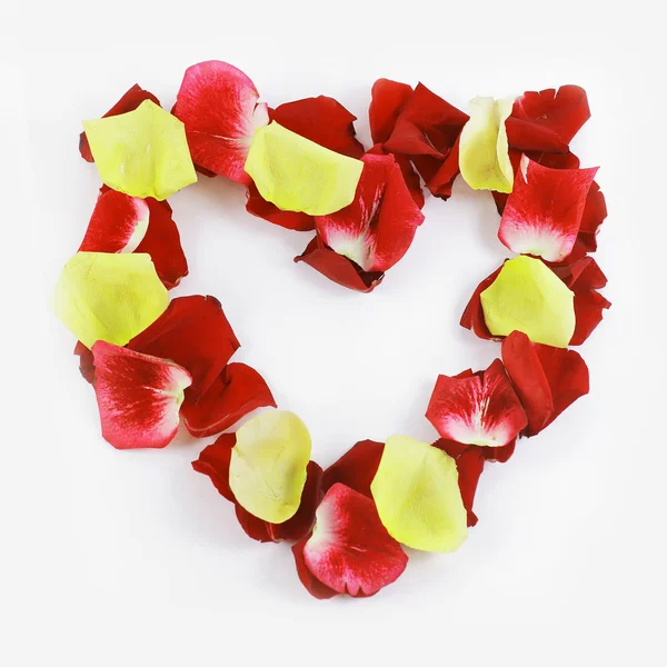 Cornice di congratulazioni di petali di rosa gialli e rossi — Foto Stock