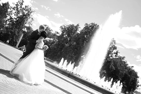 Negro y blanco photo.the novia muestra al novio una hermosa fuente . — Foto de Stock