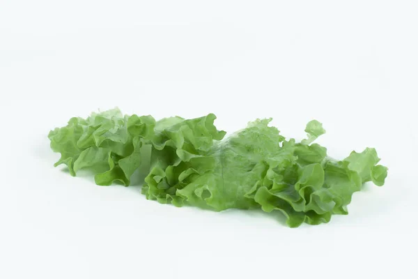 Salátalevél. Saláta izolált fehér alapon. — Stock Fotó