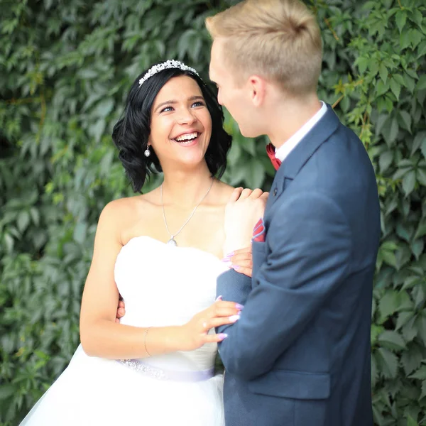 Nygifta på bakgrunden av gröna blad — Stockfoto