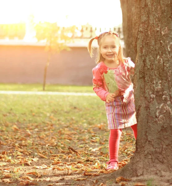 Linda niña en el prado en el día de verano — Foto de Stock