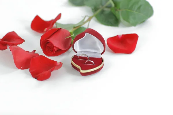 Anillos de boda y rosa roja sobre fondo blanco —  Fotos de Stock