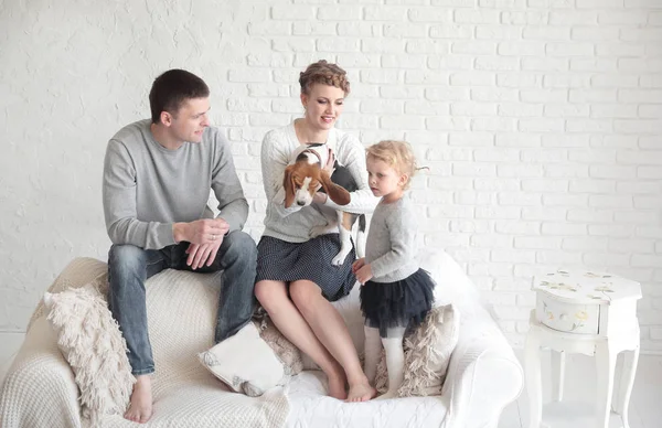 Retrato de pais felizes com sua filha e amado animal de estimação com uma sala de estar — Fotografia de Stock
