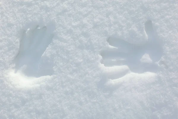 Zwei Handabdrücke auf dem Schnee. Foto mit Kopierraum — Stockfoto