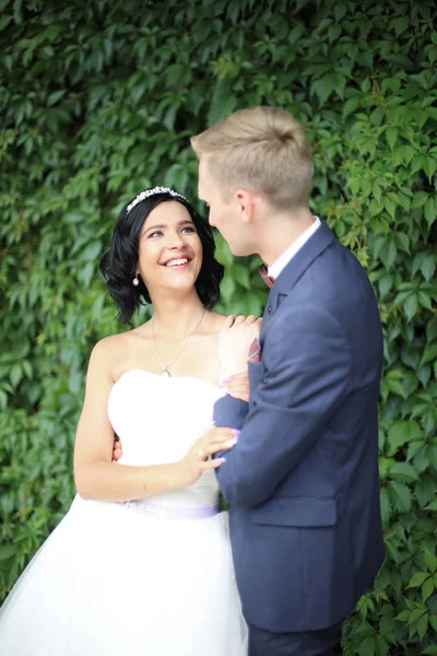 Bruden och brudgummen på en bakgrund av gröna blad — Stockfoto