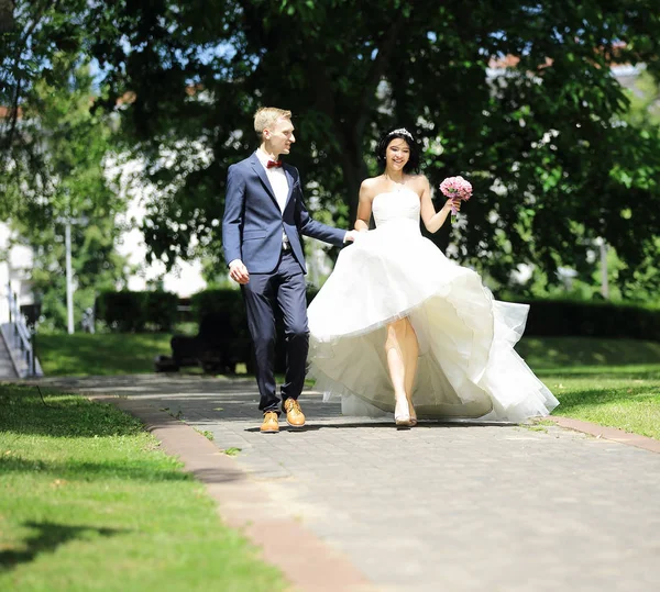 Пара, гуляющая по аллее парка . — стоковое фото