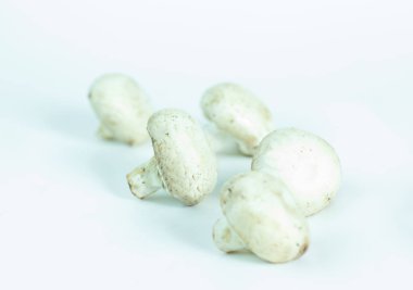 Taze kahverengi champignon izole üzerinde beyaz arka plan mantar