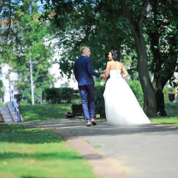 Rear view.the noiva e noivo andando no beco do Parque . — Fotografia de Stock