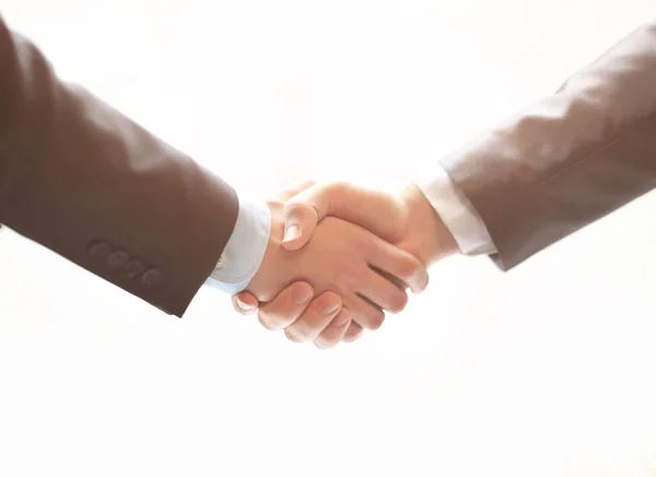 Closeup of business hand shake between two colleagues — Stock Photo, Image