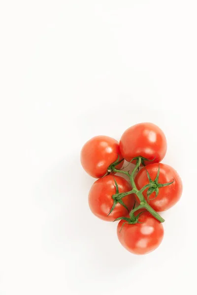 Tomates sobre una rama. Fondo blanco aislado — Foto de Stock
