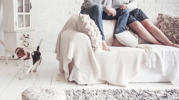 Feliz jovem família descansando na sala de estar no domingo — Fotografia de Stock