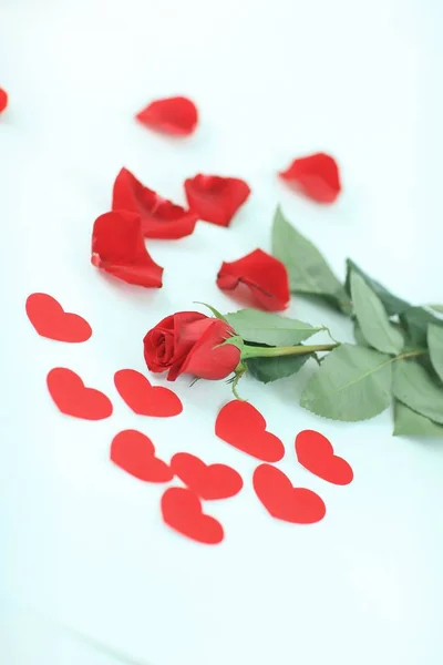 Romantisches Konzept. rote Rose auf weißem Hintergrund — Stockfoto