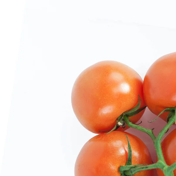 Tomater på en gren .isolerede hvide baggrund - Stock-foto