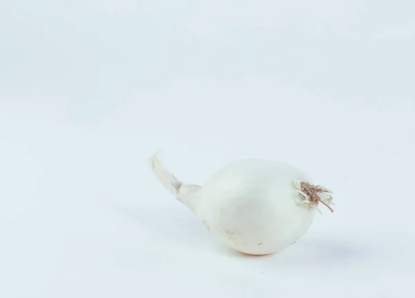 White onion .isolated on a white background — Stock Photo, Image