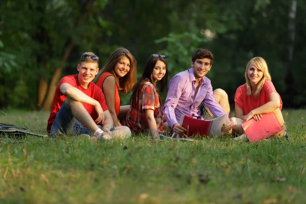 Groep vrienden studenten zittend op het gras in het Park — Stockfoto