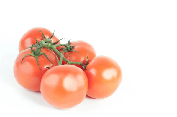 Tomaten auf einem Zweig. isolierter weißer Hintergrund — Stockfoto