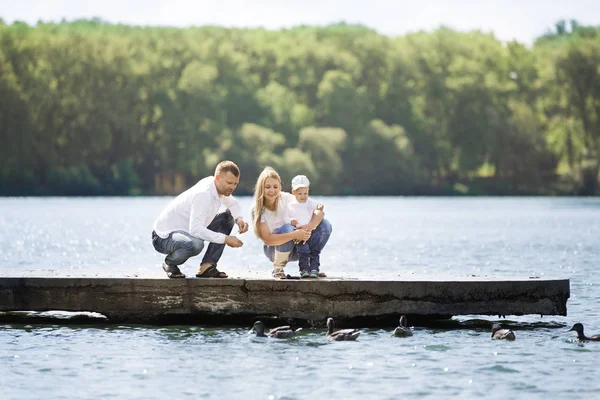 Feliz mamá, papá e hijo alimentan a los patos en un día soleado —  Fotos de Stock
