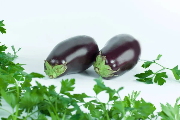 Closeup.eggplants y ramitas de perejil aislado sobre fondo blanco gr —  Fotos de Stock