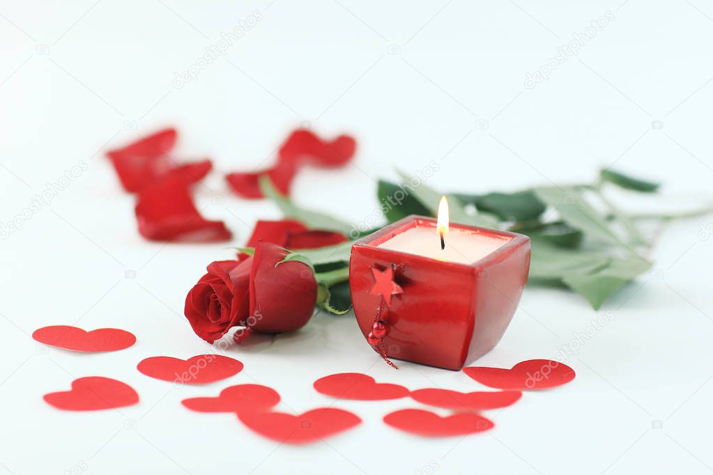 burning candle and red rose on white background.photo with copy 