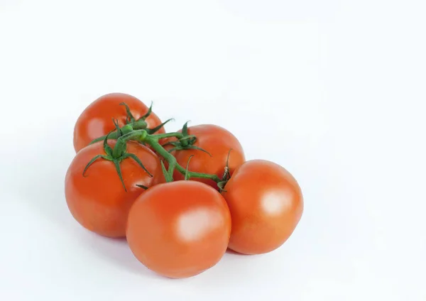 Tomates em um galho. Fundo branco isolado — Fotografia de Stock