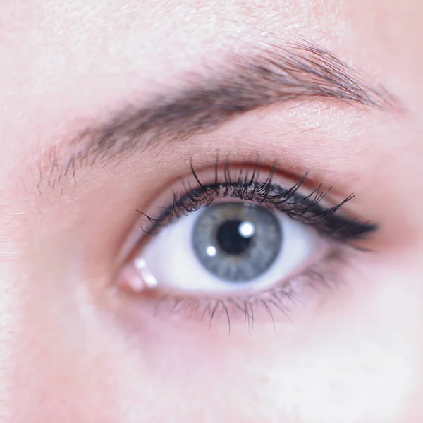 Close up. Schöne Frauenaugen. Makrobild — Stockfoto