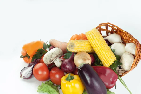Champignons und eine Vielzahl von frischem Gemüse in einem Korb — Stockfoto