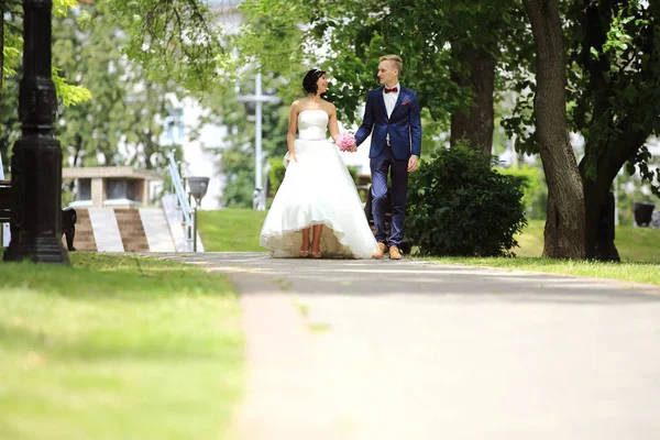 Gelin ve damat pot Park açık havada yürümek. — Stok fotoğraf