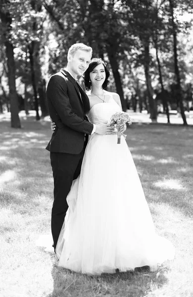 Svartvitt foto av bruden och brudgummen på bakgrunden av en Park — Stockfoto