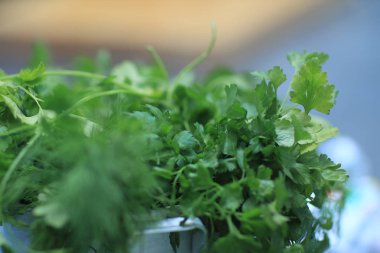 up.Bunch maydanoz üzerinde arka plan bulanık kapatın